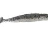 bad shad special